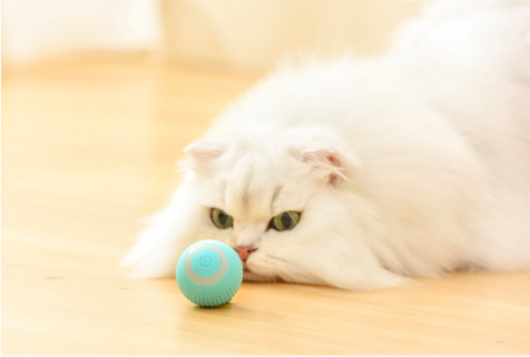 The Majic balls Reduce Pleasured with Pets