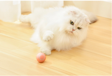 The Majic balls Reduce Pleasured with Pets